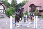 Springkurs 2019