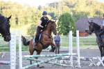 Springkurs 2019