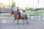 Springkurs 2019