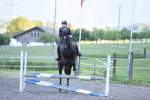 Springkurs 2019